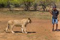 006 Zuid-Afrika, Ukutula Game Reserve, leeuw